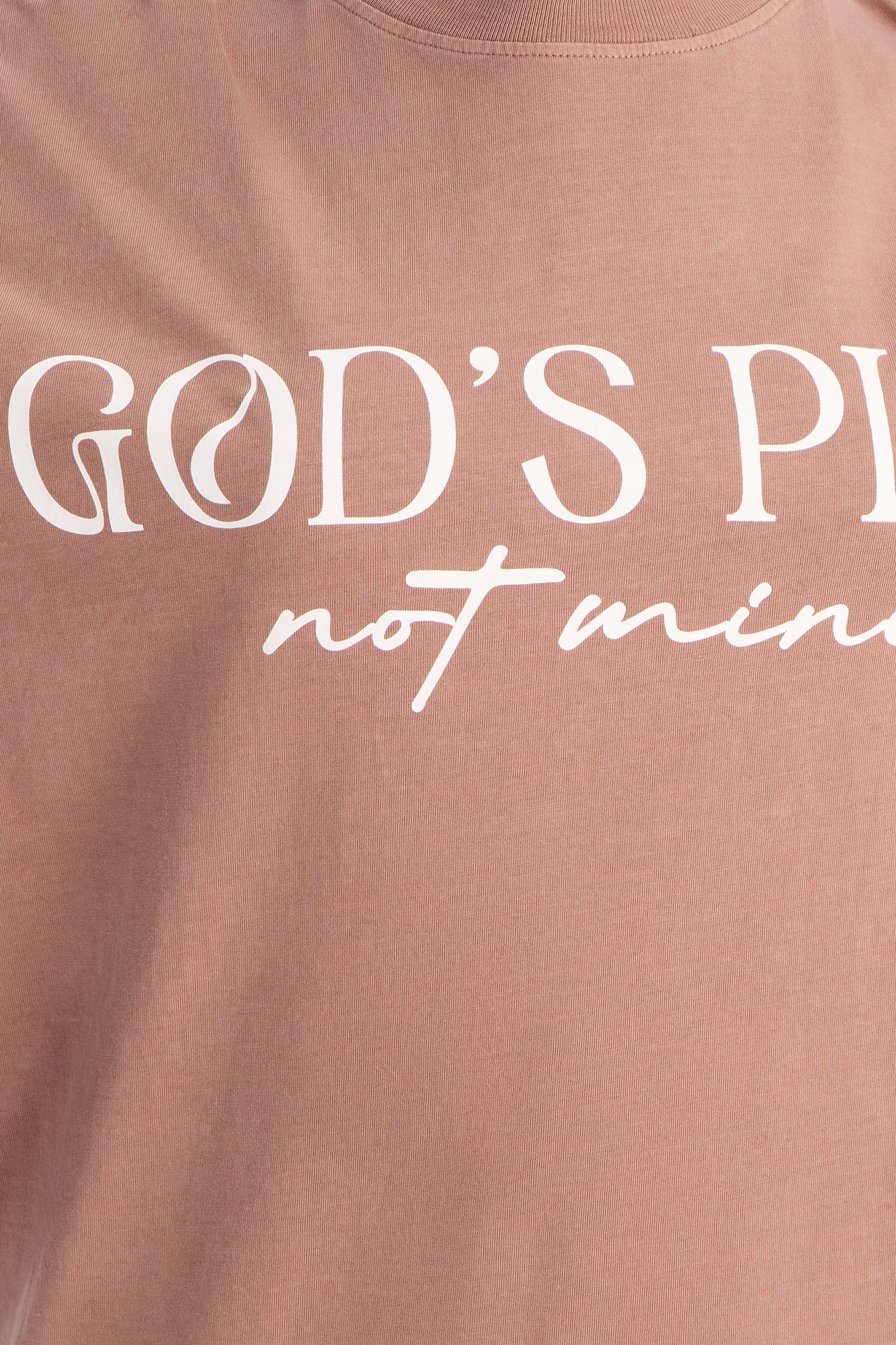 God's Plan Not Mine Washed Tshirt - Brown